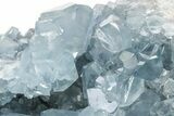 Sparkly Celestine (Celestite) Geode - Deep Blue Crystals #229001-1